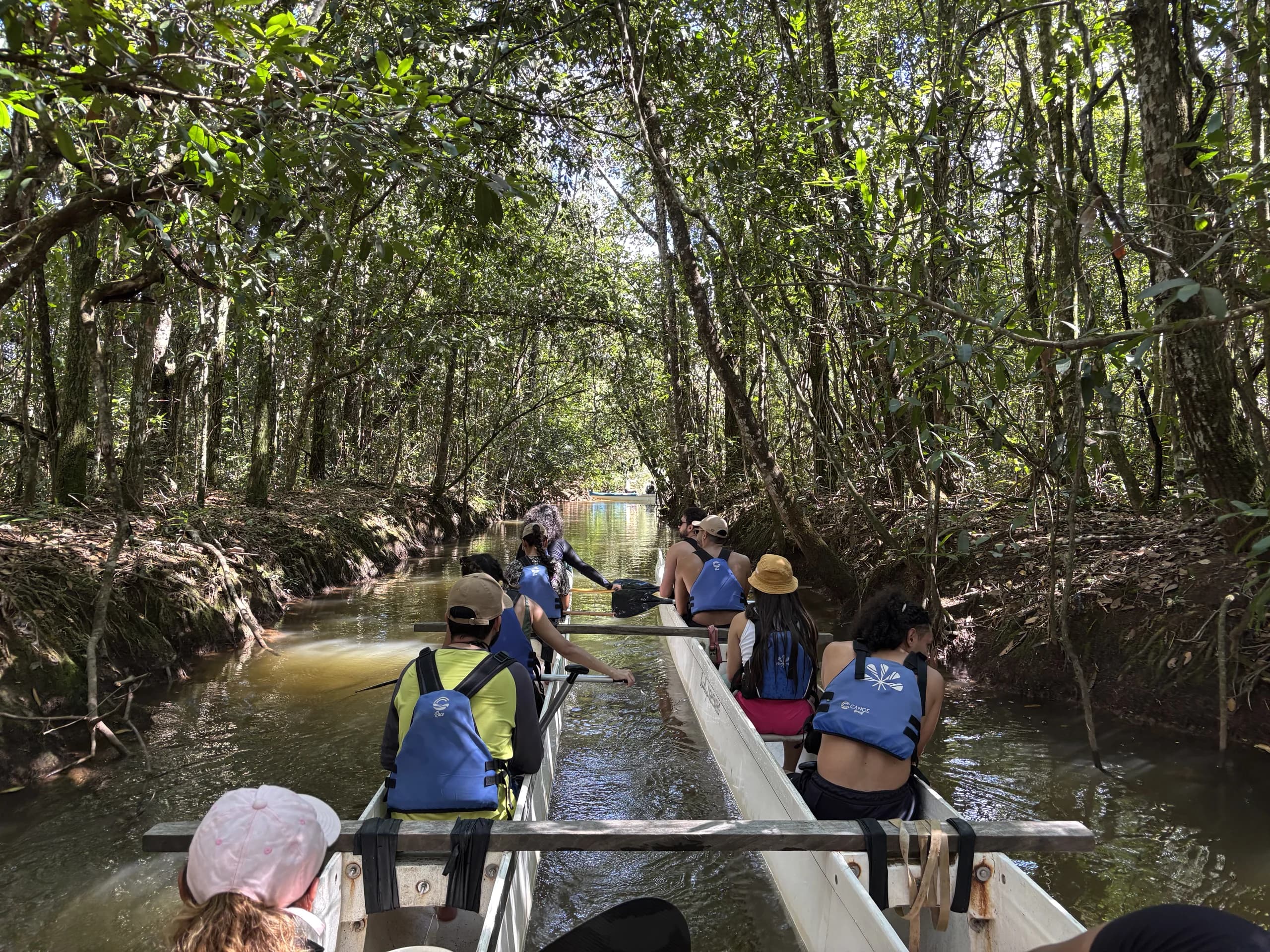 Canoas navegando sob a mata do Córrego do Torto