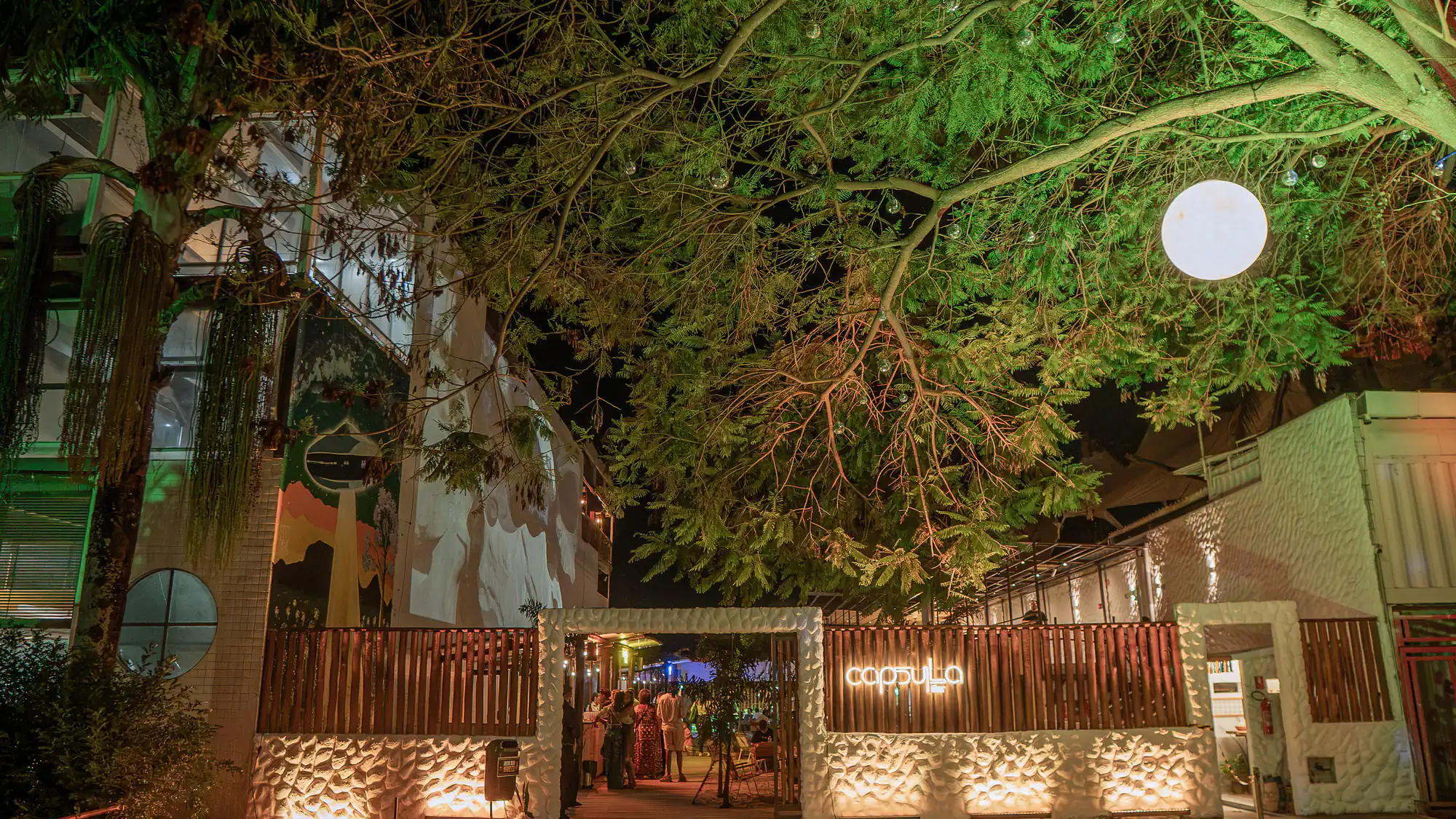 Entrada do Cápsula Bar iluminada à noite, sob uma árvore, com o letreiro do Cápsula Bar